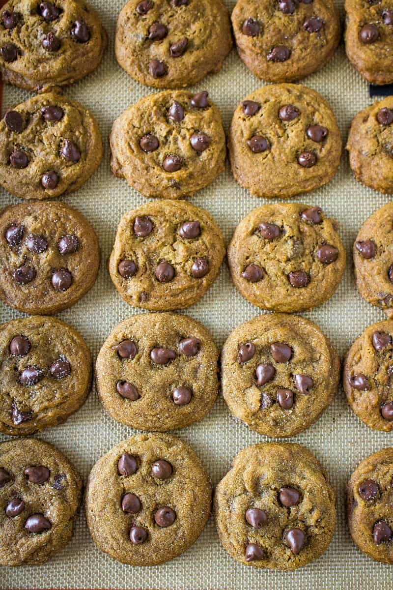 chewy-molasses-chocolate-chip-cookies-must-love-home